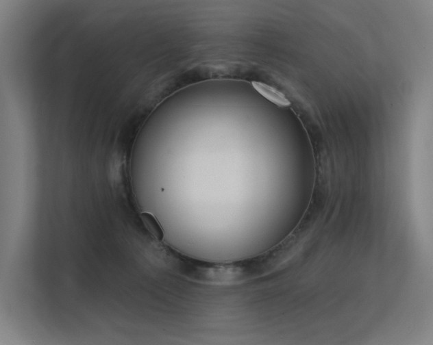 X0000112000225200908101328