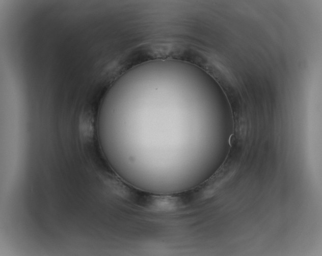 X0000112000226200908101328