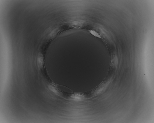 X0000112000231200908101328