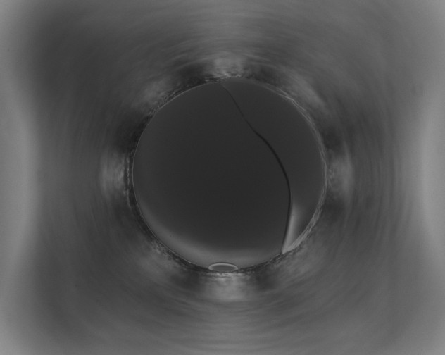 X0000112000233200908101328