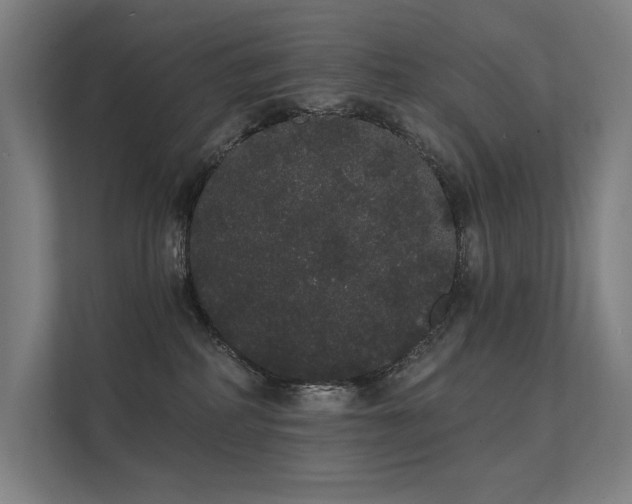 X0000112000234200908101328