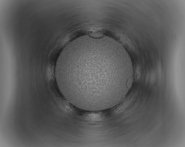 X0000112000236200908101328