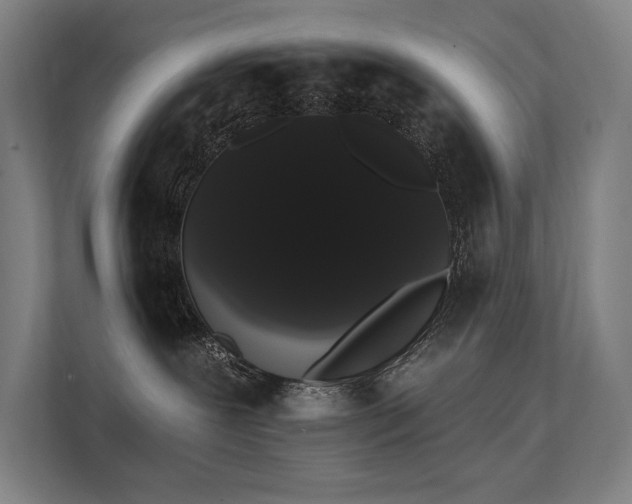 X0000112000239200908101328