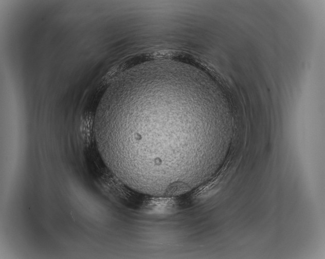 X0000112000240200908101328