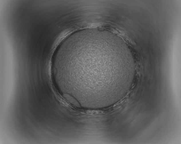 X0000112000242200908101327