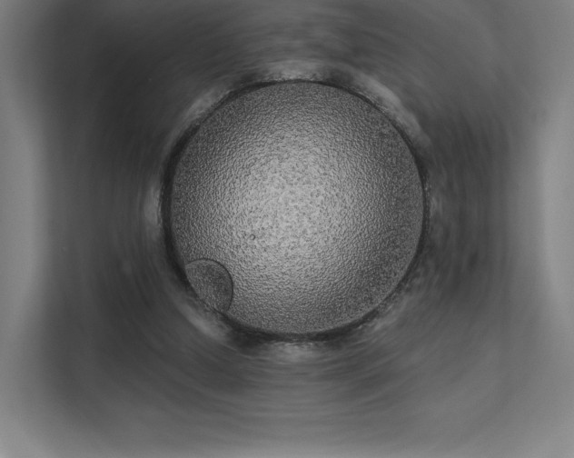 X0000112000250200908101328