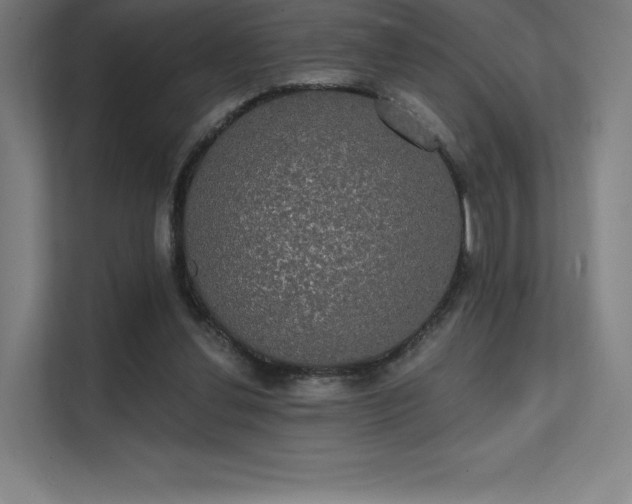 X0000112000252200908101328