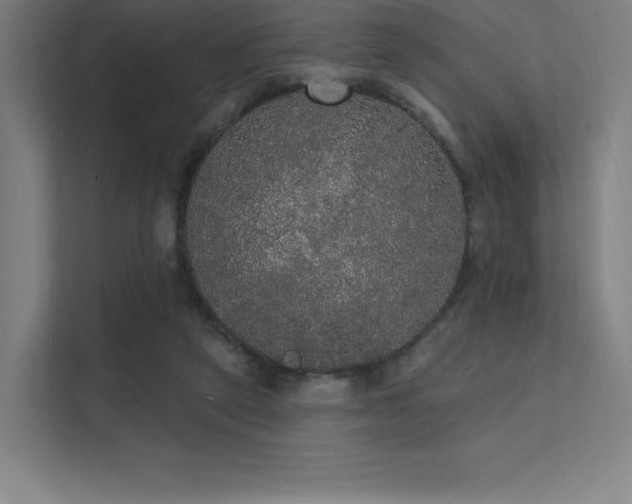 X0000112000257200908101328