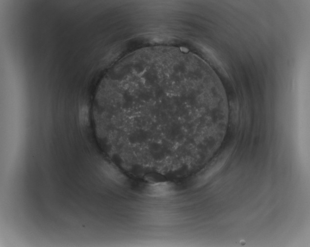 X0000112000269200908101328