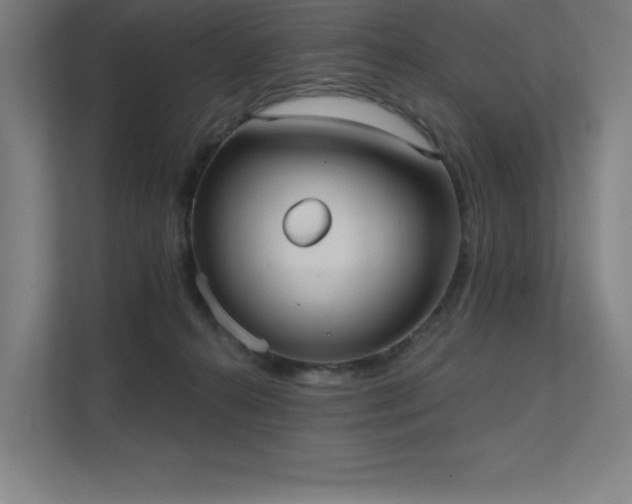 X0000112000272200908101328