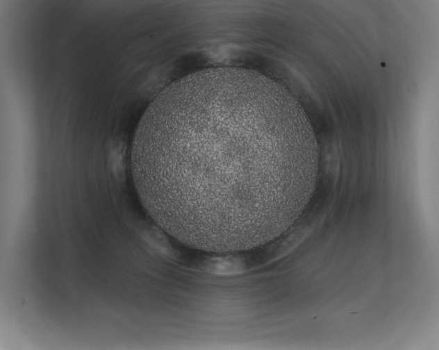 X0000112000275200908101328