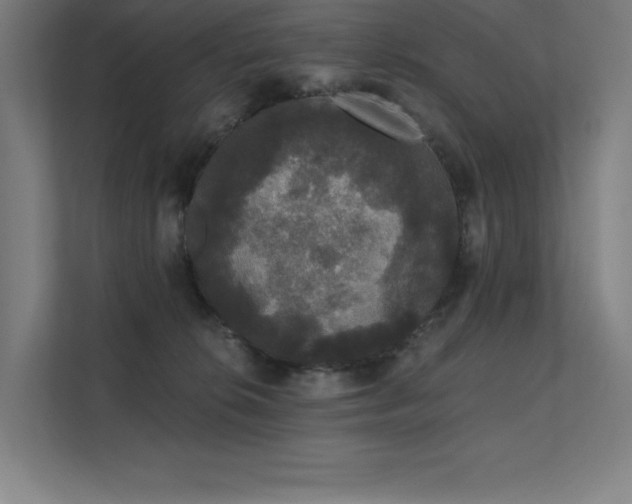 X0000112000276200908101328