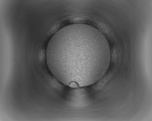 X0000112000278200908101328