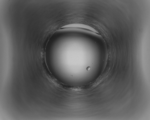 X0000112000284200908101328