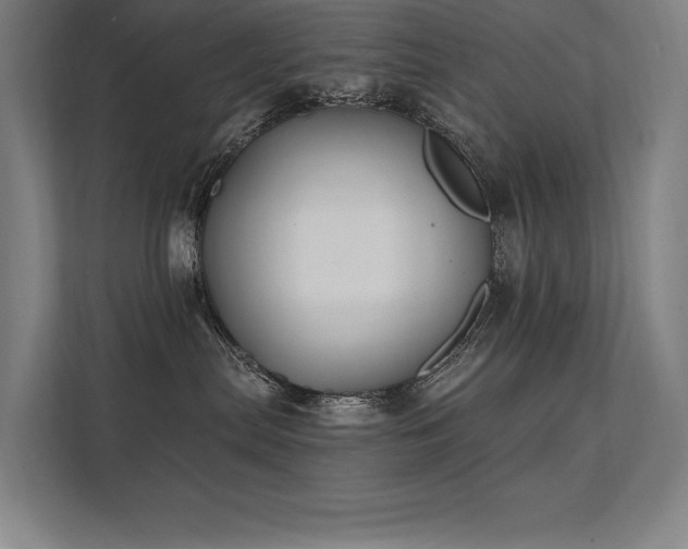 X0000112000287200908101328