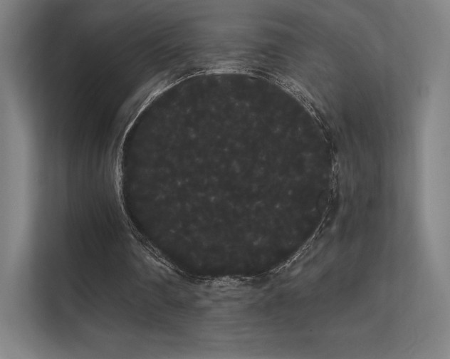 X0000112000290200908101327