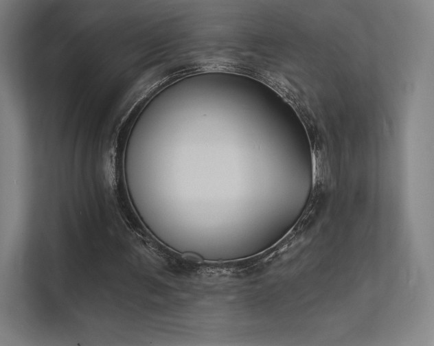 X0000112000291200908101327