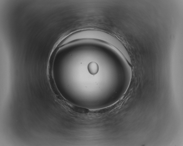 X0000112000292200908101327