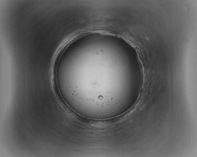 X0000112000293200908101327