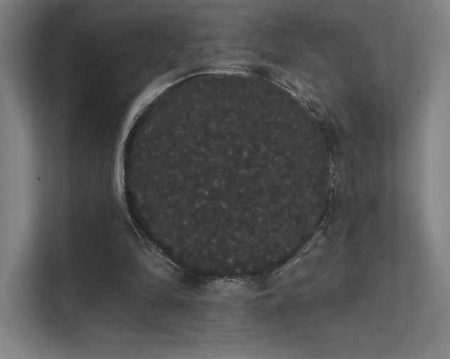 X0000112000294200908101327