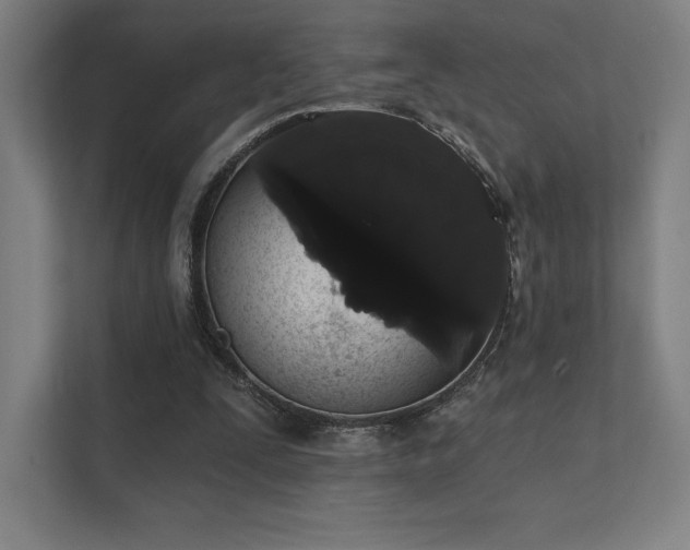 X0000112000295200908101327