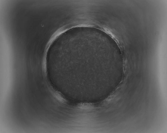 X0000112000296200908101327