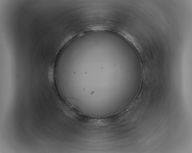 X0000112000297200908101327