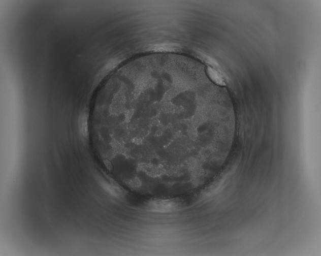 X0000112000299200908101327