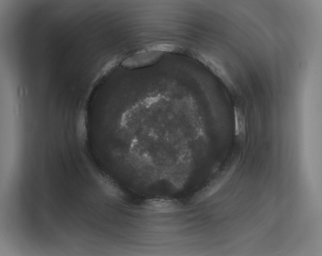 X0000112000300200908101327