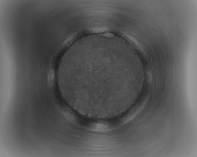 X0000112000308200908101327