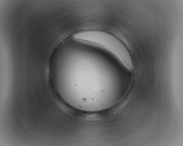 X0000112000309200908101327