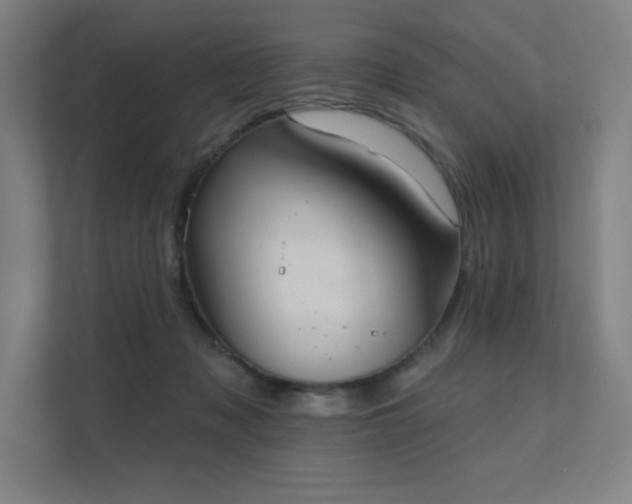 X0000112000317200908101327