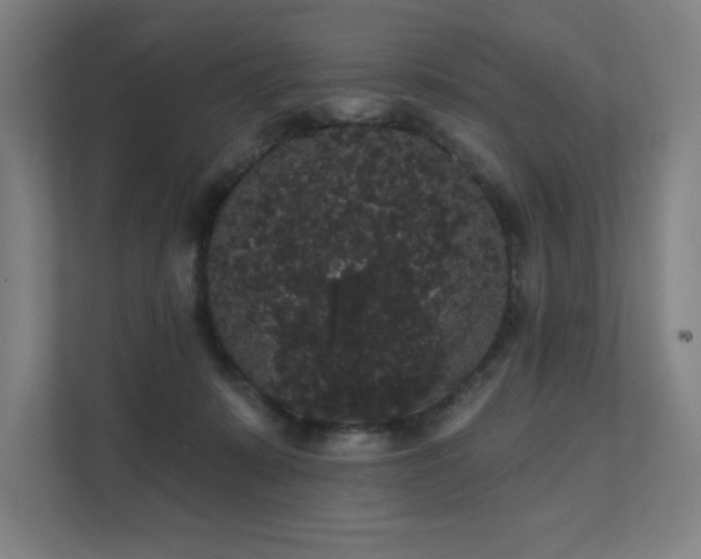 X0000112000319200908101327