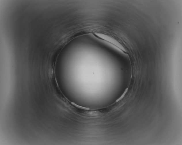 X0000112000324200908101327