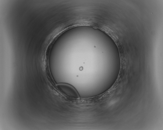 X0000112000338200908101326