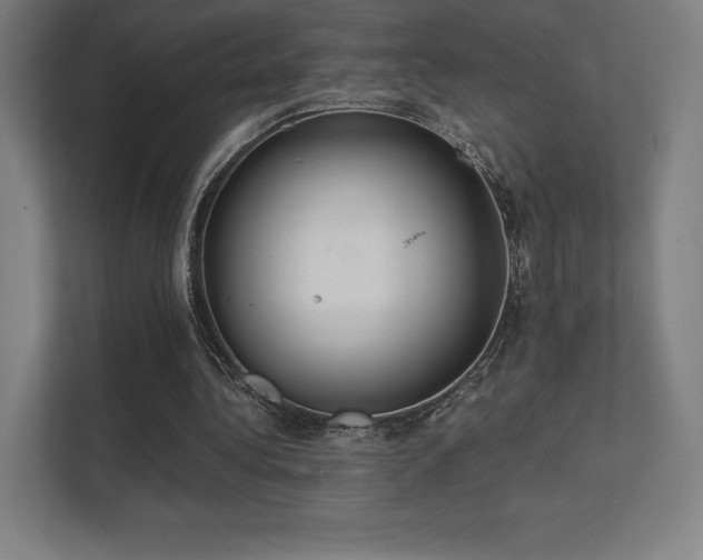 X0000112000340200908101326