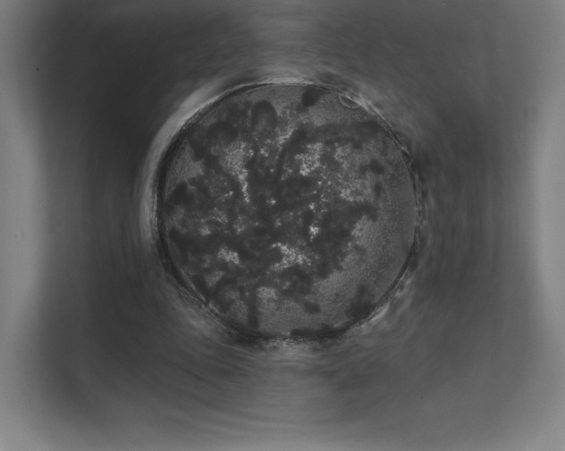 X0000112000343200908101326