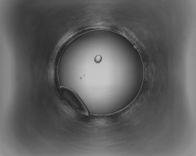 X0000112000344200908101326