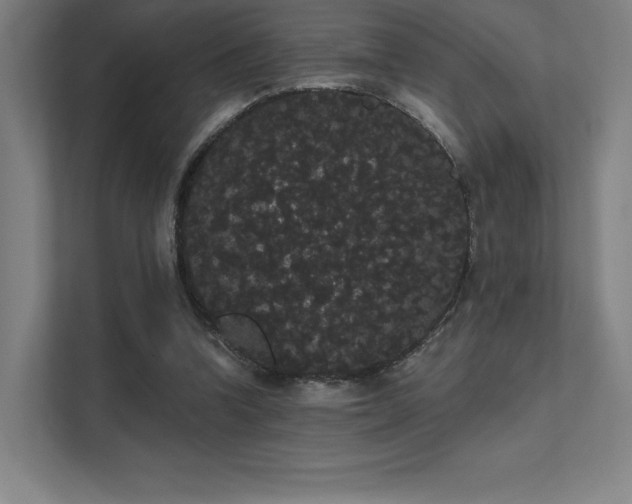 X0000112000346200908101326