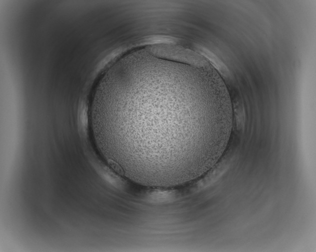 X0000112000350200908101326