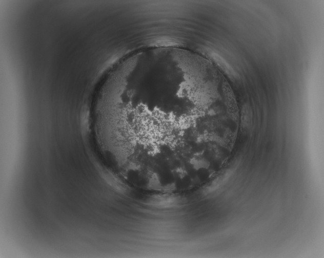 X0000112000351200908101326