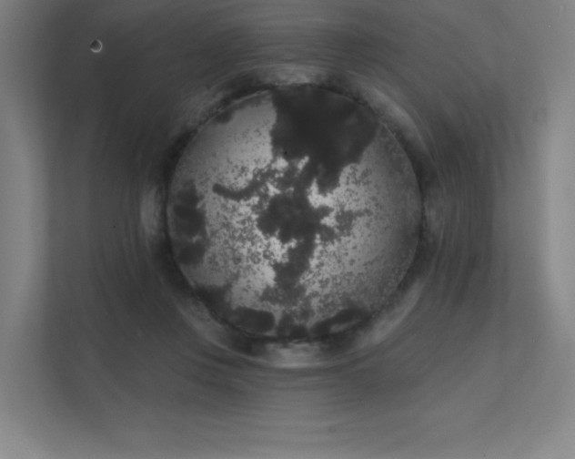 X0000112000359200908101326