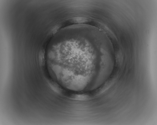 X0000112000360200908101326