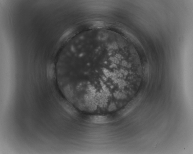 X0000112000361200908101326