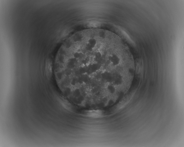 X0000112000363200908101327