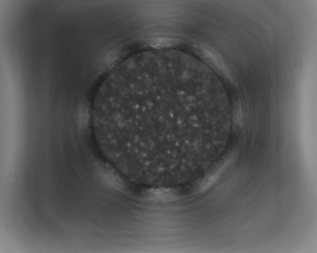 X0000112000367200908101327