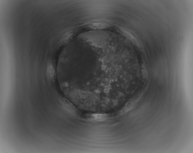 X0000112000371200908101327