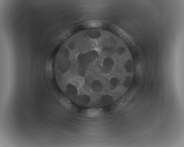 X0000112000373200908101327