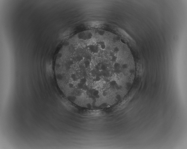 X0000112000377200908101327