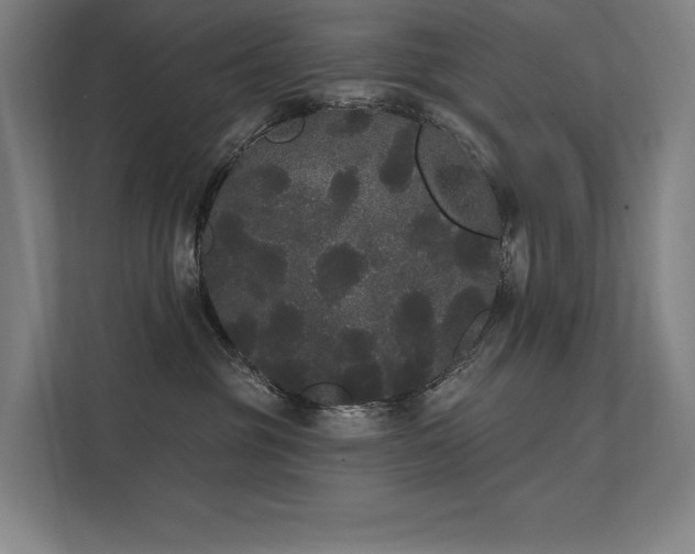 X0000112000381200908101327